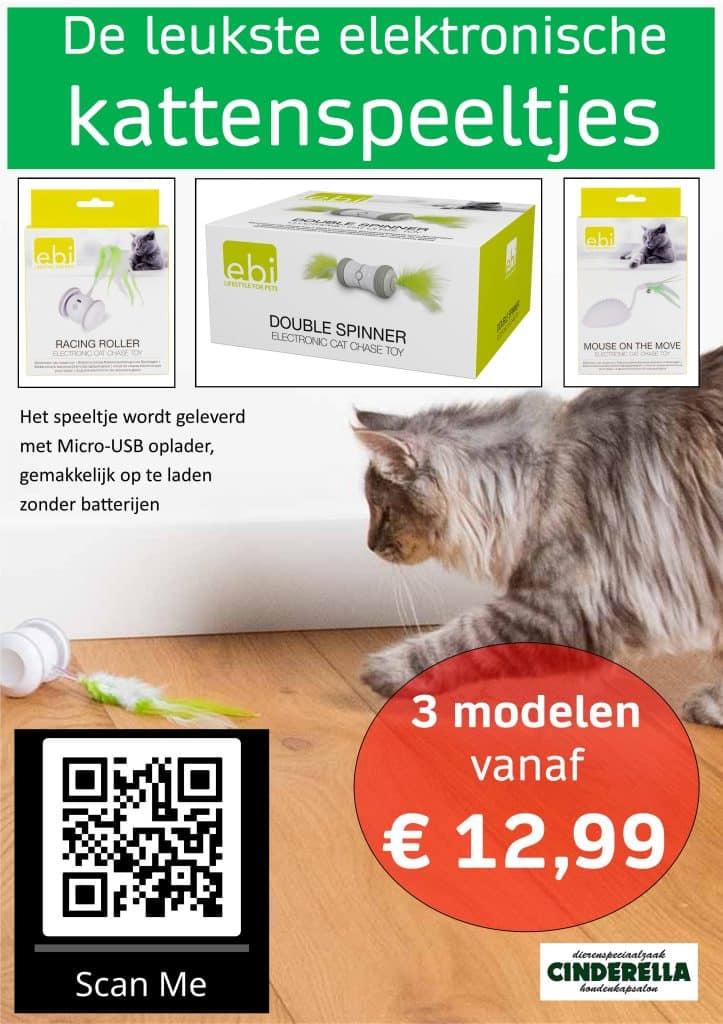 Elektronisch kattenspeeltje